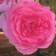 chambres d'h�te Toulouse